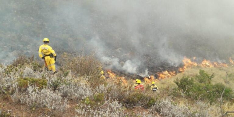 Bomberos de Valledupar, sin elementos para sofocar incendio forestal