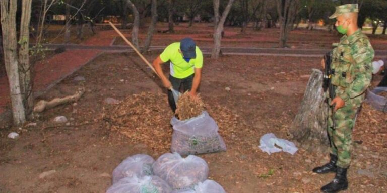 Se muestra el castigo como trabajo social limpiando parques